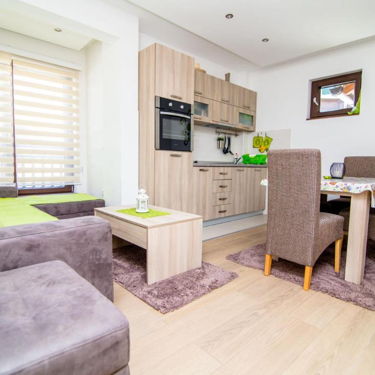 Zlatiborski Konaci - Standard One-Bedroom Apartment - 9