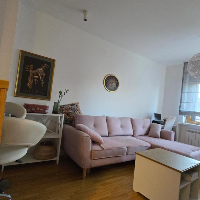 Udoban stan u centru Zemuna - Apartman sa 1 Spavaćom Sobom - 1