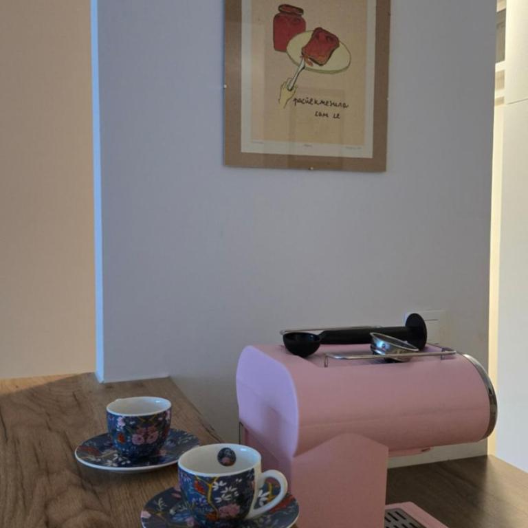 Udoban stan u centru Zemuna - Apartman sa 1 Spavaćom Sobom - 5