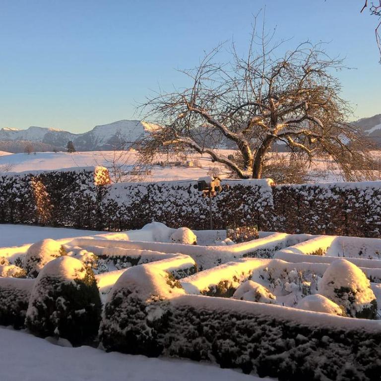 Voralpenidylle - Apartment mit Blick auf die Berge - 32