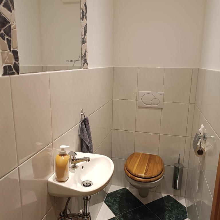 Tritscher's Appartement Ramsau Dachstein - Appartamento con 2 Camere da Letto - 21