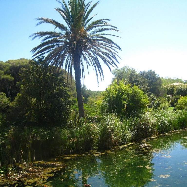 Blue Lagoon - Apartamento con vistas al mar - 30