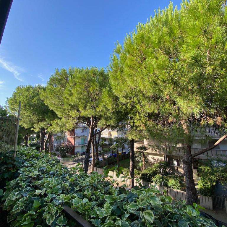 Palma - Appartamento con 1 Camera da Letto - 15