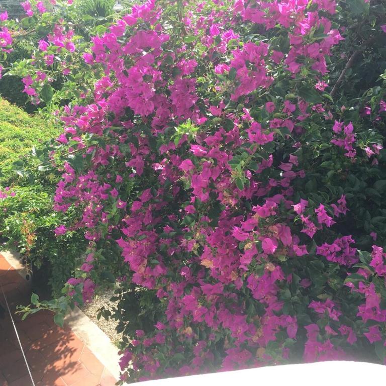 Charming very quiet Center Renewed - Apartamento de 2 dormitorios - 4