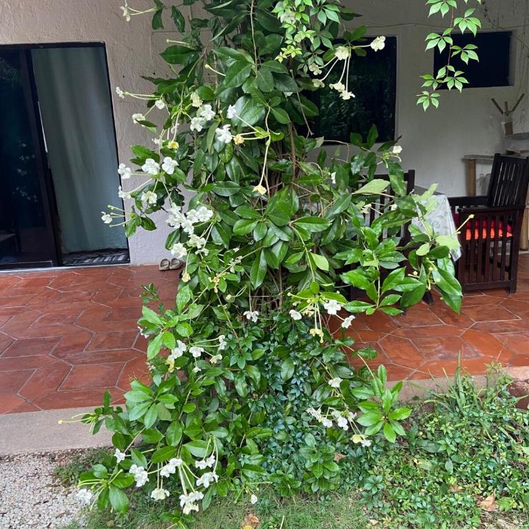 Charming very quiet Center Renewed - Apartamento de 2 dormitorios - 11
