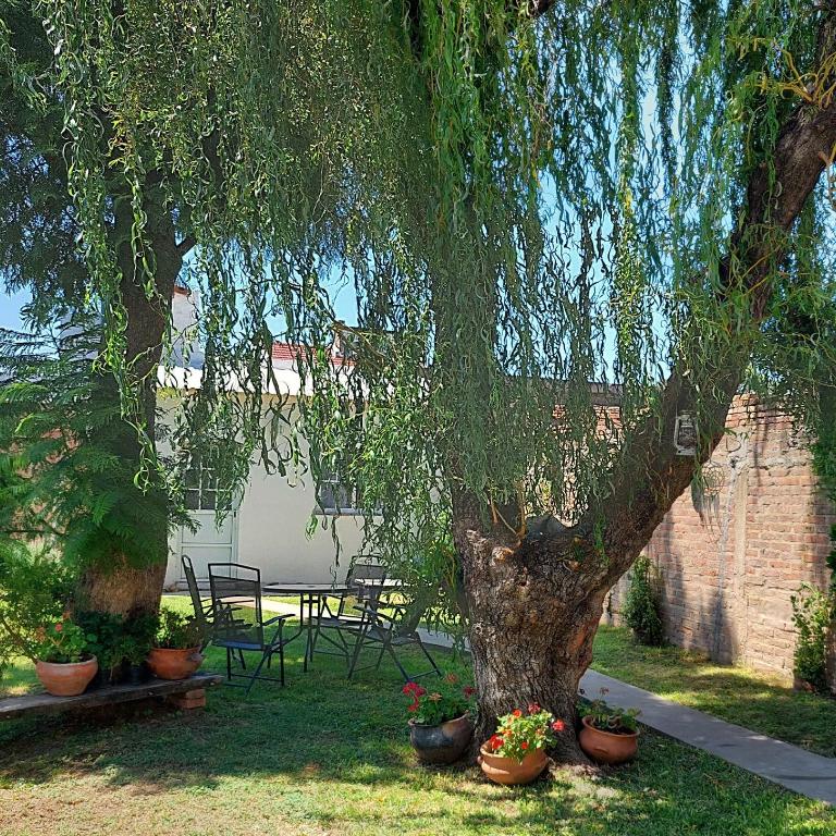 Jazmín del cielo Monoambiente independiente interno - Apartamento de 1 dormitorio - 21