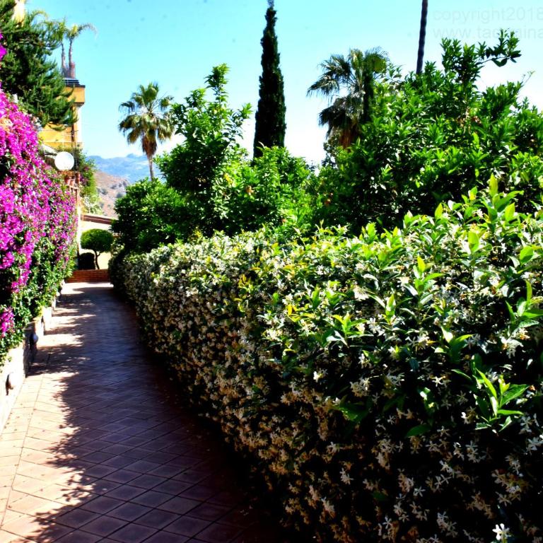 Taormina Ibiscus Apartment by Taormina Holidays - Appartamento con 2 Camere da Letto - 14