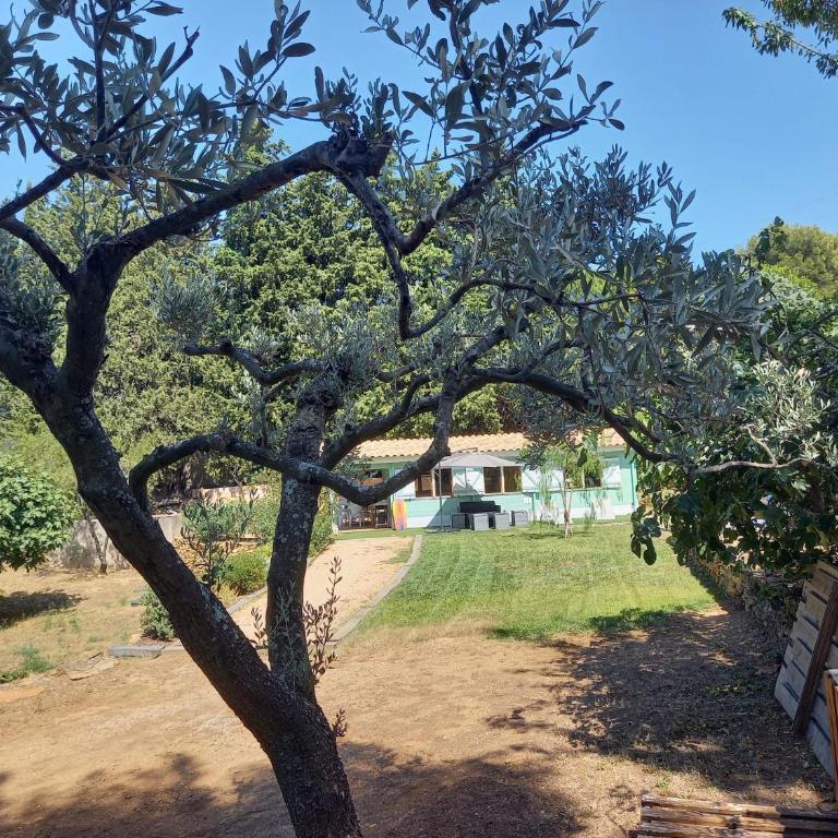 "Le Colibri" dans la colline - Maison 2 Chambres - 36