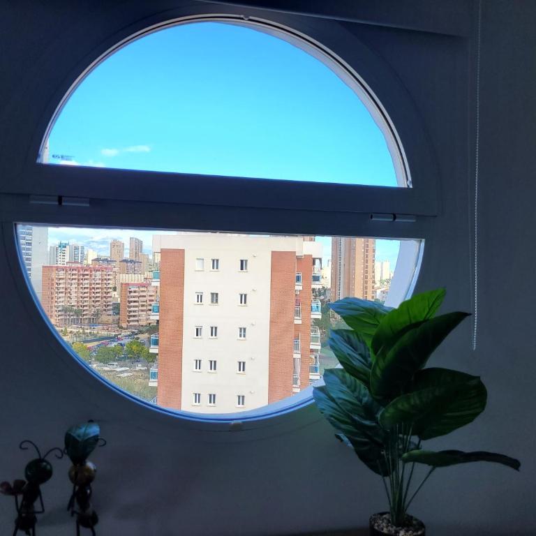 Cala Sol - Apartamento de 2 dormitorios - 13