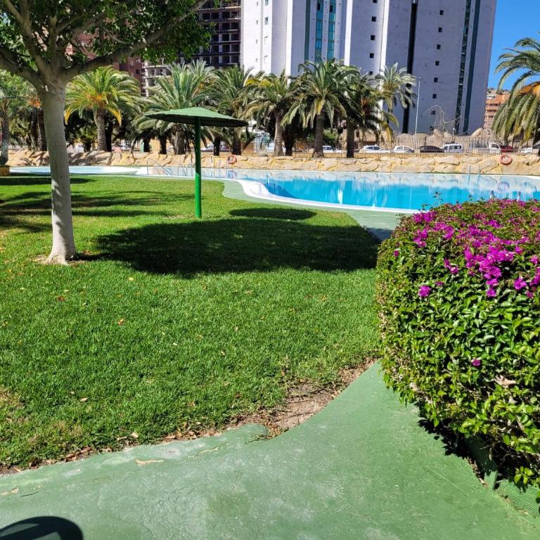 Cala Sol - Apartamento de 2 dormitorios - 35