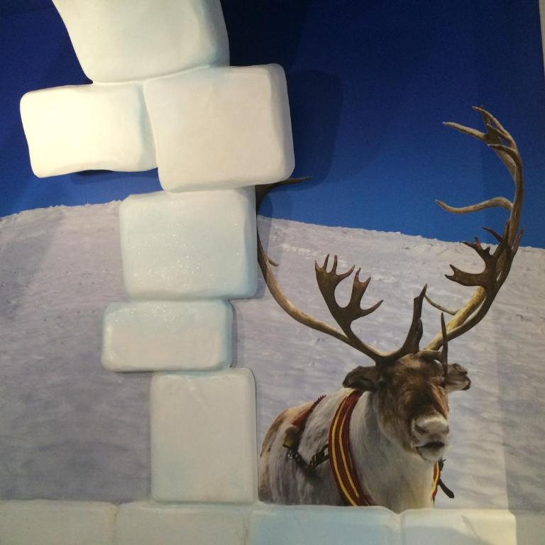 Gardaland Adventure Hotel - Camera Standard Arctic - 6