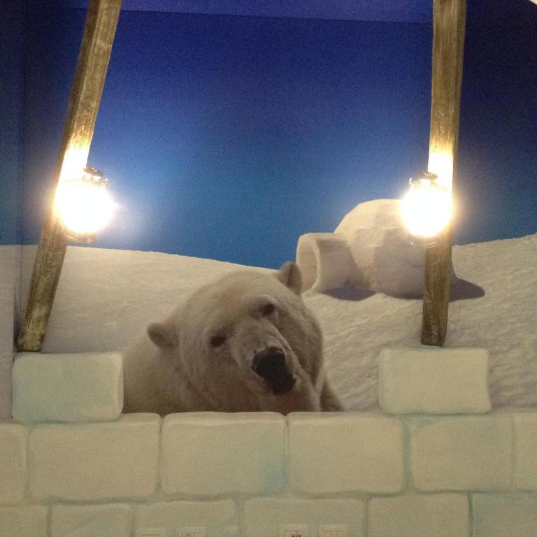 Gardaland Adventure Hotel - Camera Standard Arctic - 8