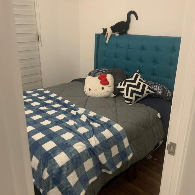 Escape to Pucón! - Apartamento de 3 dormitorios - 6