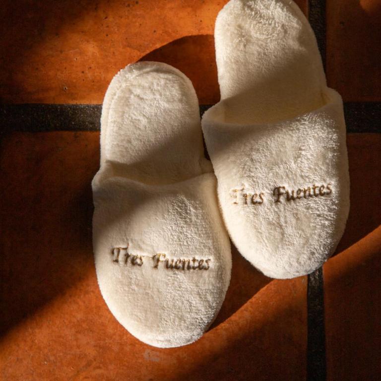 Tres Fuentes Dickinson Hotel Boutique - Suite Deluxe con cama extragrande - 17