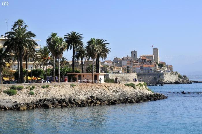 Agréable 2p entre Antibes et Juan les Pins - Appartamento con 1 Camera da Letto - 13