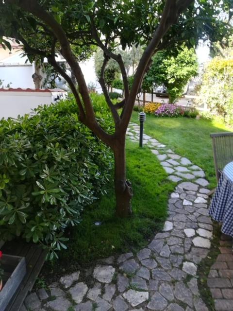 Candida's House - Appartamento con 1 Camera da Letto - 22