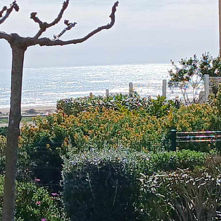 Plain-pied Jardin 6 personnes Clim Vue Mer Parking Wifi Terrasse Piscine dans la résidence - Appartement 2 Chambres - 46