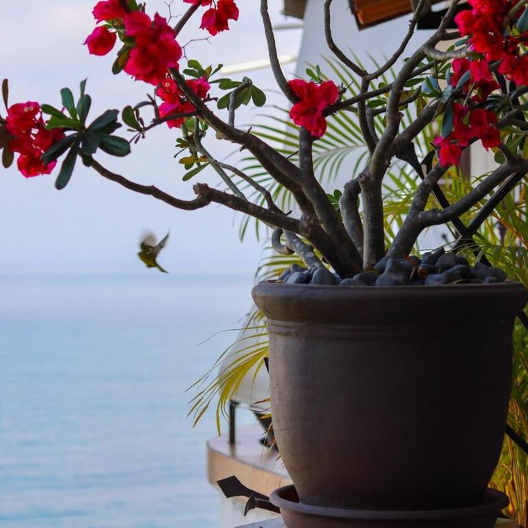 Condo Best of Life - One Bedroom Ocean Views - One-Bedroom Apartment - 3