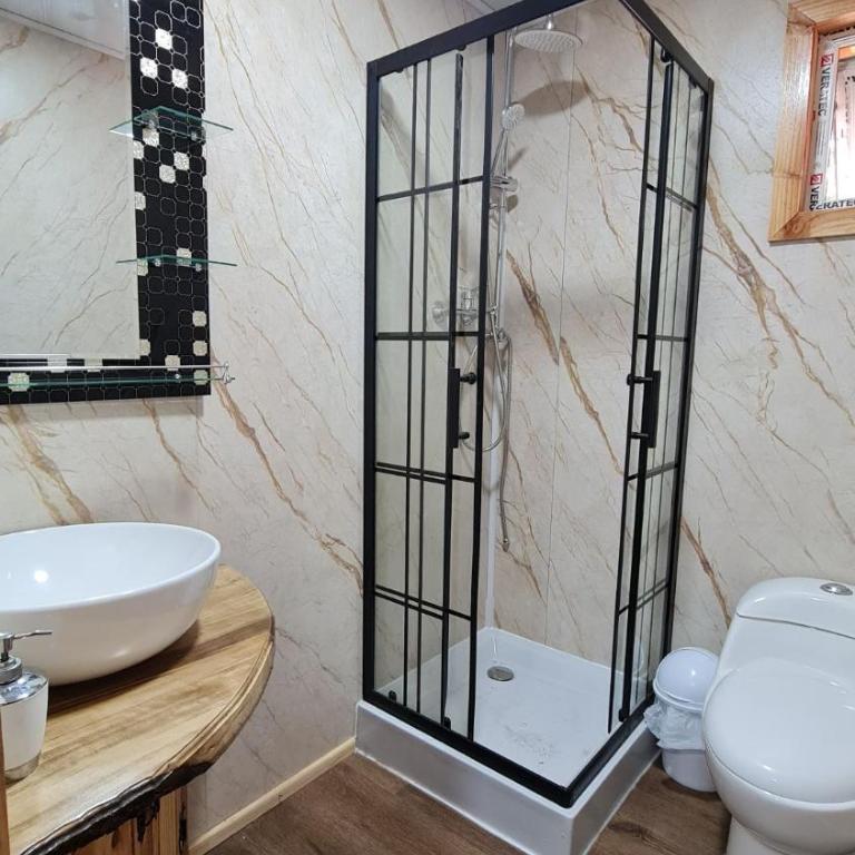 Cabaña familiar en el campo a 15 minutos del centro de Melipeuco - One-Bedroom Chalet - 6