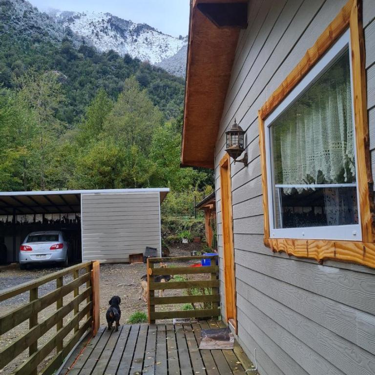 Cabaña familiar en el campo a 15 minutos del centro de Melipeuco - One-Bedroom Chalet - 17