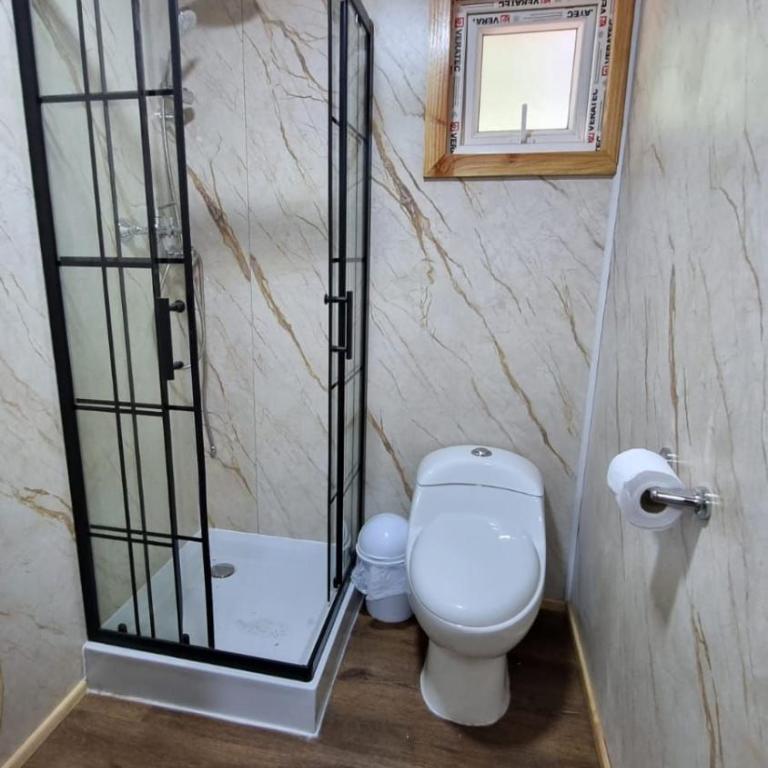 Cabaña familiar en el campo a 15 minutos del centro de Melipeuco - One-Bedroom Chalet - 24