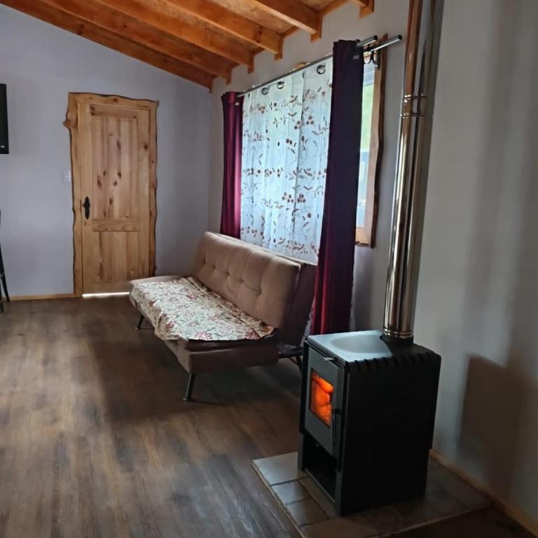 Cabaña familiar en el campo a 15 minutos del centro de Melipeuco - One-Bedroom Chalet - 30