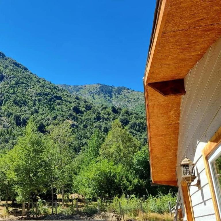 Cabaña familiar en el campo a 15 minutos del centro de Melipeuco - One-Bedroom Chalet - 36