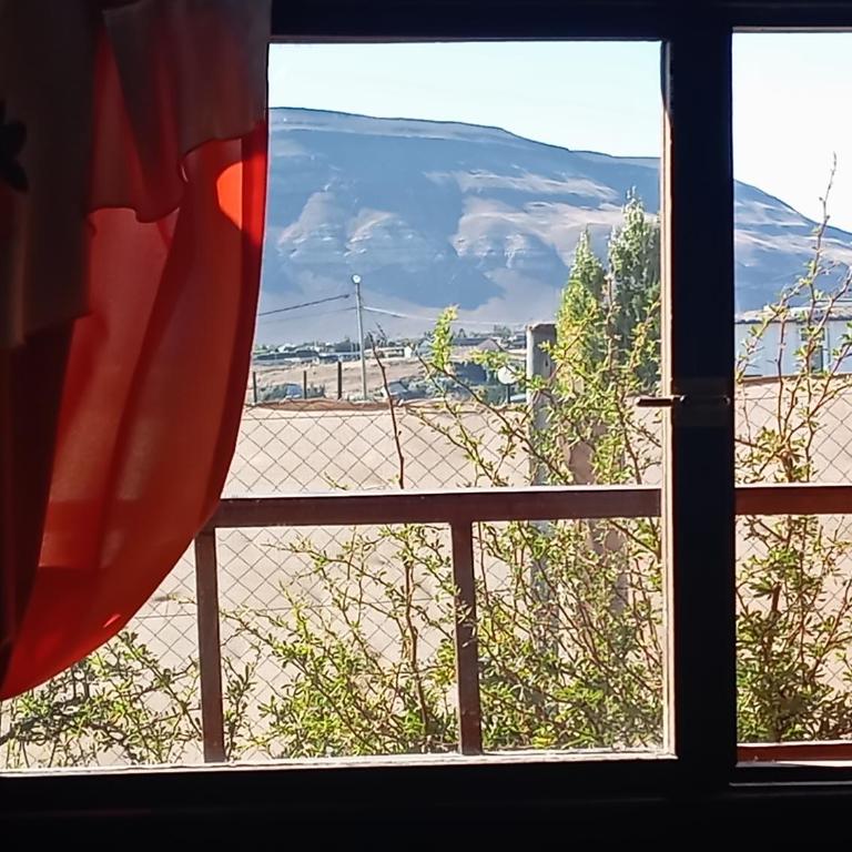 Apart con jardin - Casa con 1 dormitorio - 10