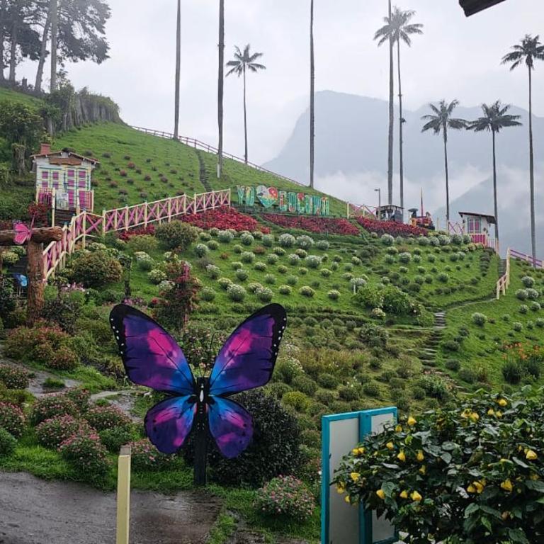 Casa Campo Valle De Cocora - Casa Unifamiliar de 3 dormitorios - 87