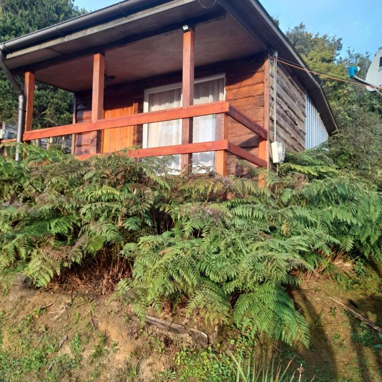 Canta Rana para dos - One-Bedroom Apartment - 2