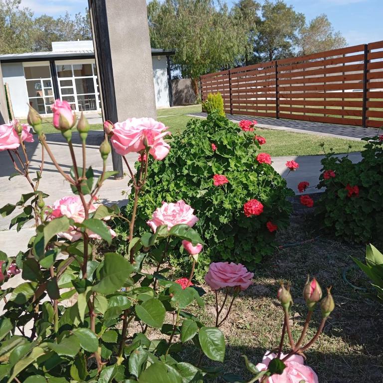 Rincón del Sol en Albardón - Chalet de 2 dormitorios - 11