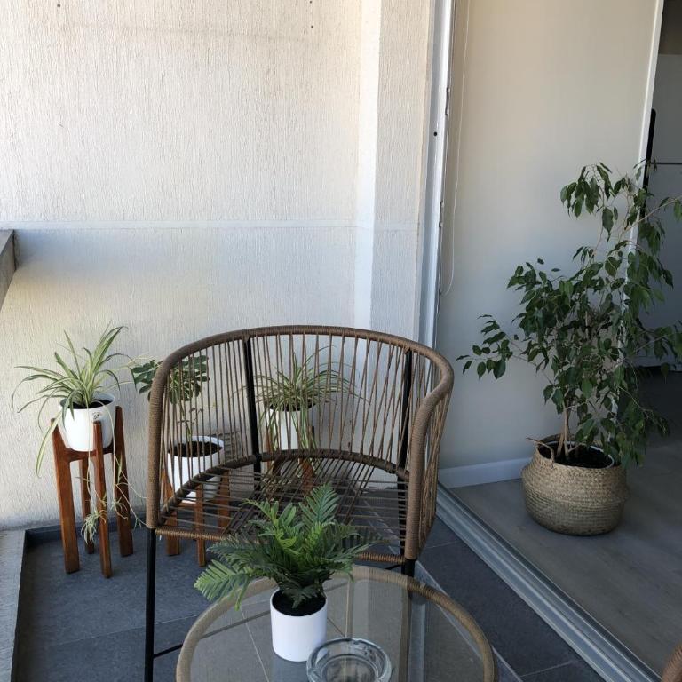 Departamento JACARANDA con cochera - Apartamento de 1 dormitorio - 20