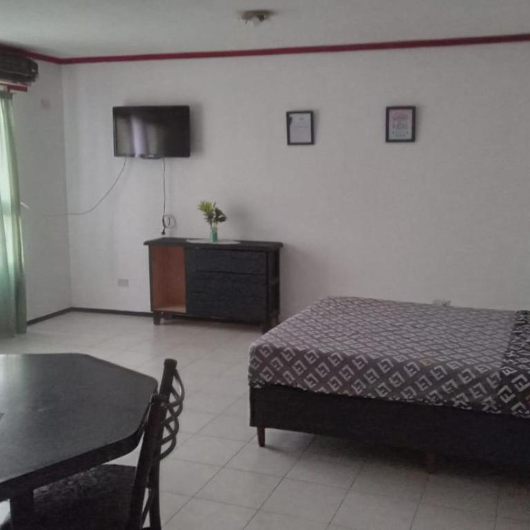 DEPARTAMENTOS TEMPORARIOs - Apartamento de 1 dormitorio - 1