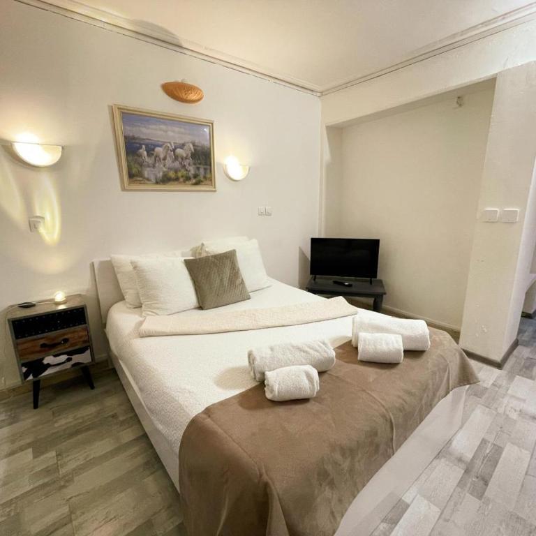 Studio au cœur d'Amboise pour 2 pers, vue sur château - FR-1-381-609 - Studio - 10