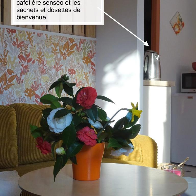 Chaleureux Henri IV - Appartement 1 Chambre - 5