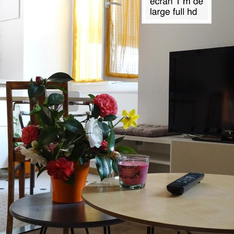 Chaleureux Henri IV - Appartement 1 Chambre - 9