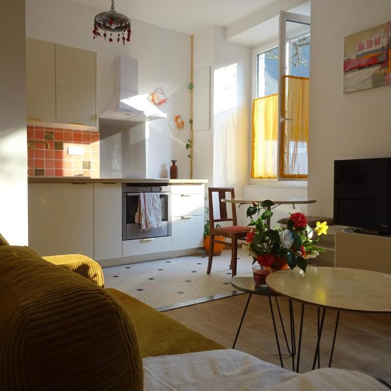 Chaleureux Henri IV - Appartement 1 Chambre - 3