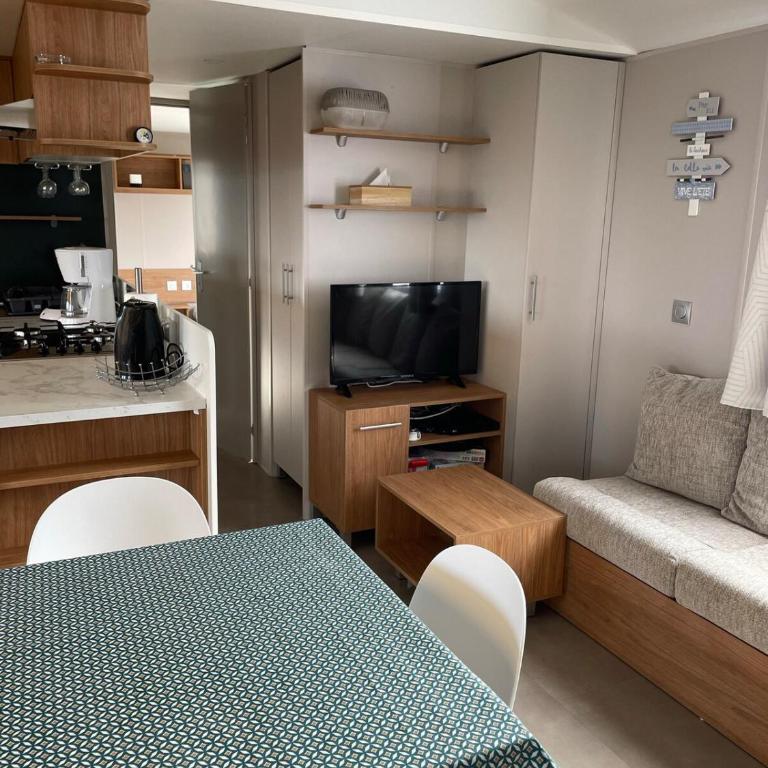 Le Panoramix Vue mer imprenable mbh39-Le Conguel - Mobile Home - 10
