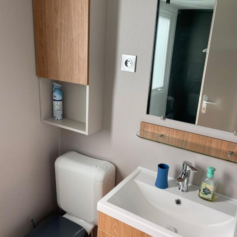 Le Panoramix Vue mer imprenable mbh39-Le Conguel - Mobile Home - 18