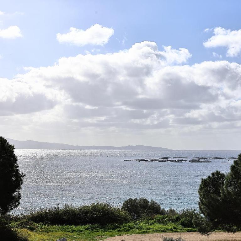 Les Sanguinaires N'15 - T2 Vue Mer, Piscine, Plage - Appartamento con 1 Camera da Letto e Vista Mare - 19