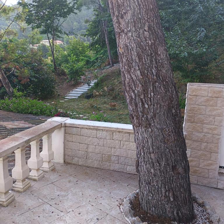 Chalet at Villa Don Quijote Nice - Chalet 1 Chambre - 15