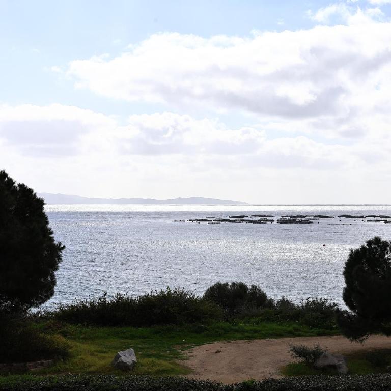 Les Sanguinaires N'16 - T2 Vue Mer, Piscine, Plage - Apartment mit 1 Schlafzimmer und Meerblick - 29