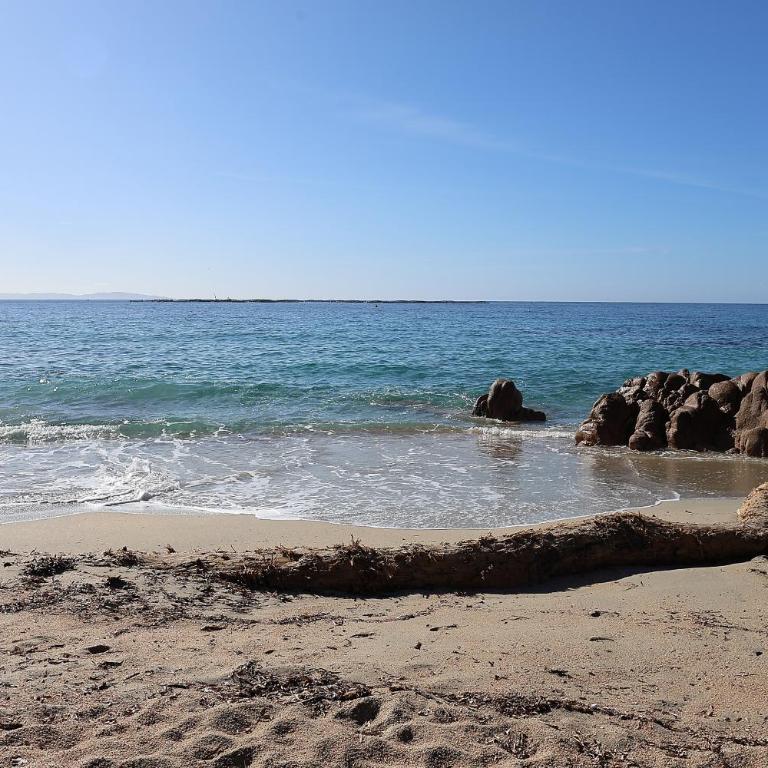 Les Sanguinaires N'16 - T2 Vue Mer, Piscine, Plage - Apartment mit 1 Schlafzimmer und Meerblick - 41