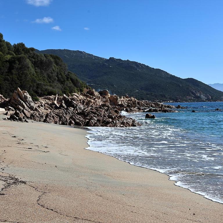 Les Sanguinaires N'16 - T2 Vue Mer, Piscine, Plage - Apartment mit 1 Schlafzimmer und Meerblick - 40