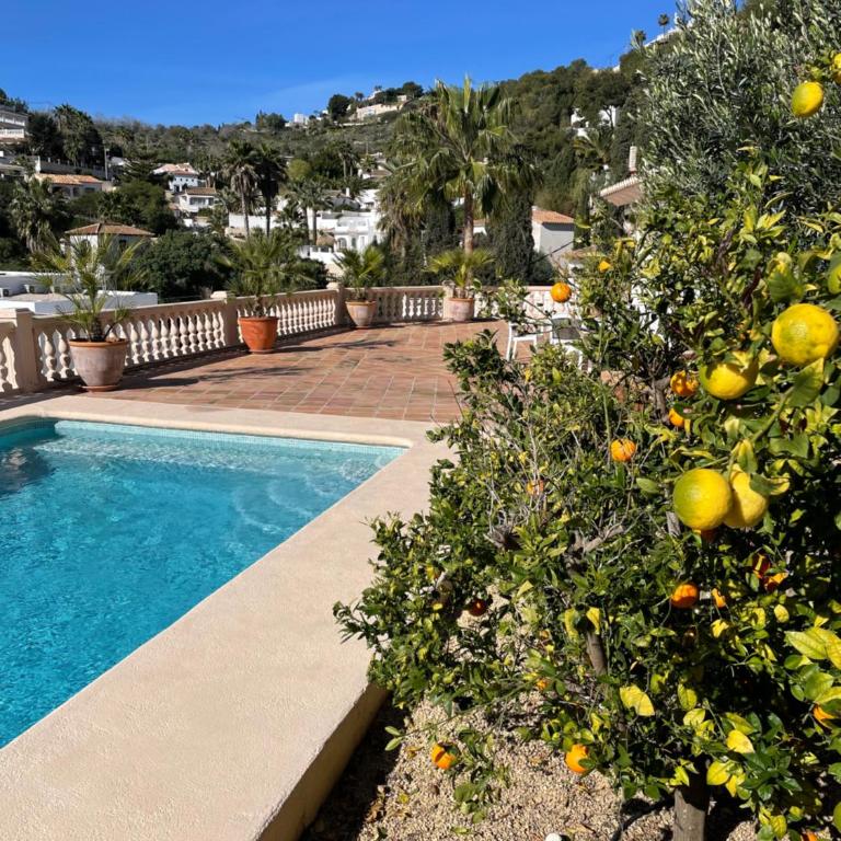 Moraira independent apartment 3 bedrooms - Three-Bedroom Apartment with Sea View - 16