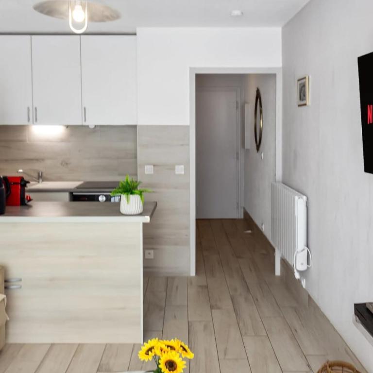 Le Bricka - Hypercentre - Cosy - 2 min from the sea - Monolocale - 23