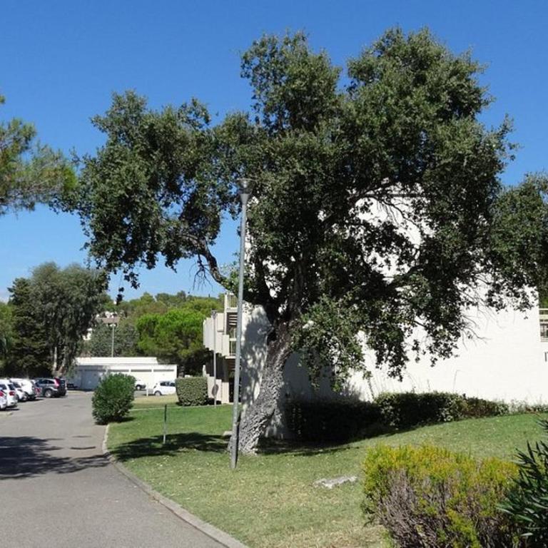 St Raphael Appartement 5 personnes - Appartement - 2