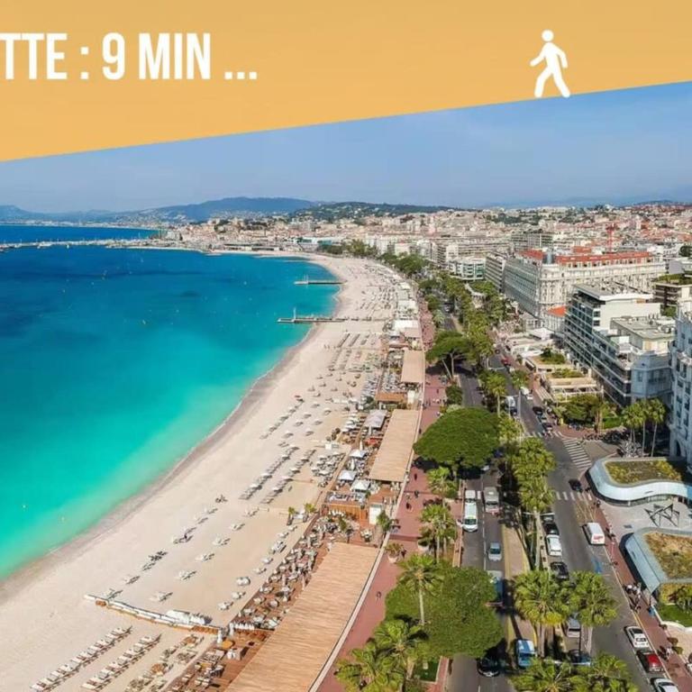 Le Bosquet - Calme - Hypercentre - Clim - Jardin - Appartement 1 Chambre - 73