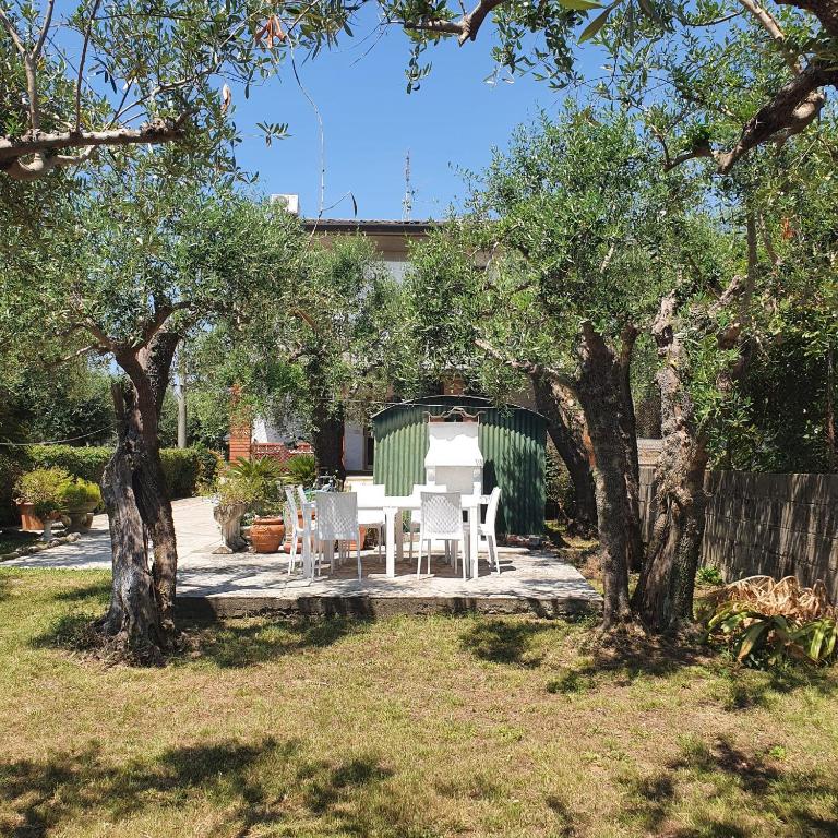 La Casa Del Giardino Degli Olivi - Casa con 2 Camere da Letto - 6