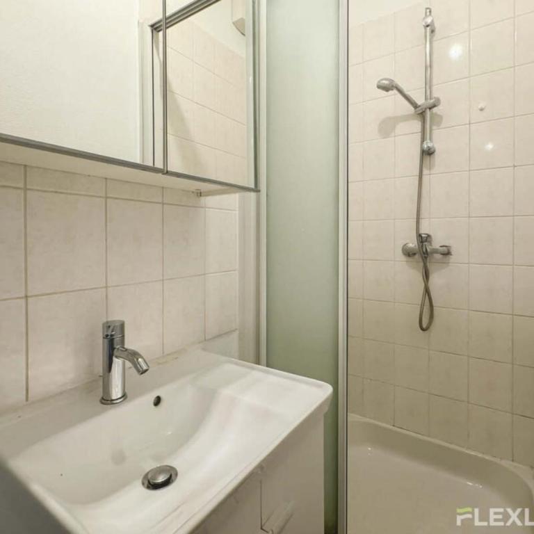 Flexliving - whole flat - Prague - Appartement - 23